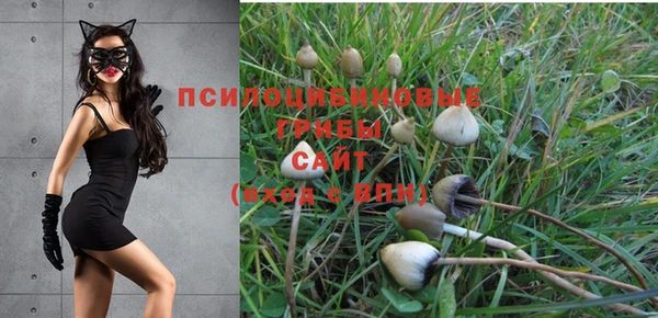 прущая мука Алзамай