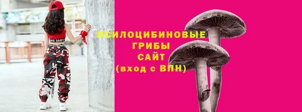 прущая мука Алзамай