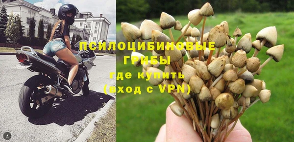 ALPHA-PVP Алексеевка