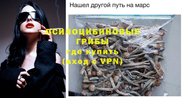 твердый Арсеньев