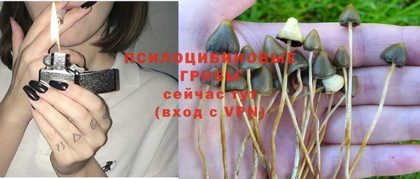 apvp Осташков