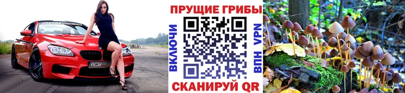 Псилоцибиновые грибы ЛСД  магазин продажи наркотиков  Харабали 
